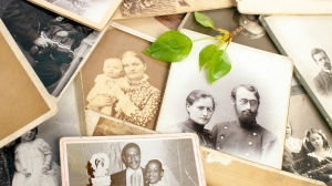 Which Genealogy Service Is the Best?